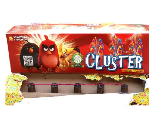SONY Cluster (Flowerpots) – 62 Patakha Shop Jaipur